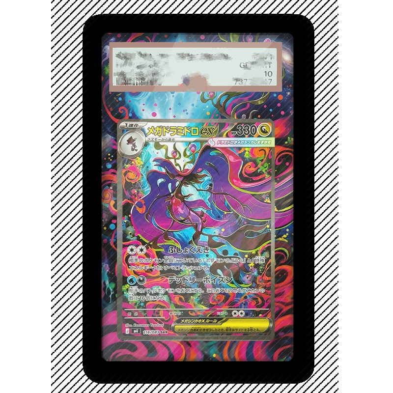 Art Display for Pokemon Dragal - Anime Merchandise From Japan 评论和价格