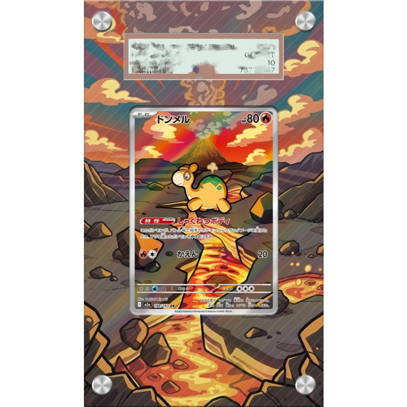 Art Display for Pokemon Numel  - Anime Merchandise From Japan 评论和价格